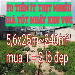 TRẦN THỊ BỐC THỚI TAM THÔN CÓ GIÁ ĐẦU TƯ