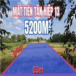 🟥LÔ ĐẸP MẶT TIỀN NHỰA TÂN HIỆP HÓC MÔN ĐÓN ĐẦU KHU NÀY 5 NĂM NỮA TIỀM NĂNG LỚN