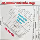 45.000m² ĐẤT VƯỜN MT KÊNH 90M TÂN AN HỘI ĐƯỜNG KINH 6M (QH 40M)