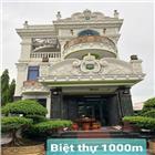 BIỆT THỰ 1000M2 THỚI TAM THÔN GẦN Q12 DÀNH CHO V.I.P