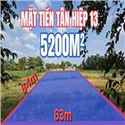 🟥LÔ ĐẸP MẶT TIỀN NHỰA TÂN HIỆP HÓC MÔN ĐÓN ĐẦU KHU NÀY 5 NĂM NỮA TIỀM NĂNG LỚN